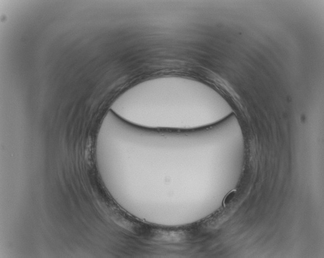 X0000064750073200602171744