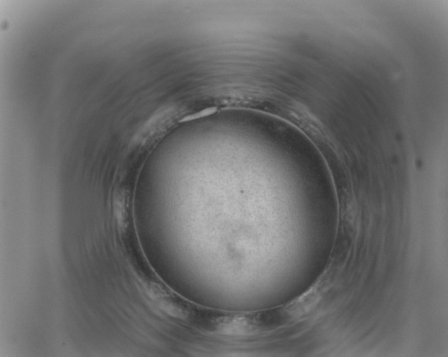 X0000064750074200602171744