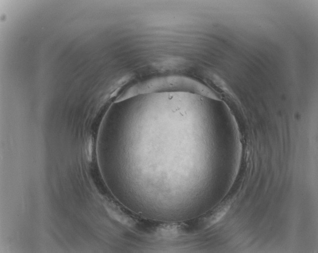 X0000064750076200602171744