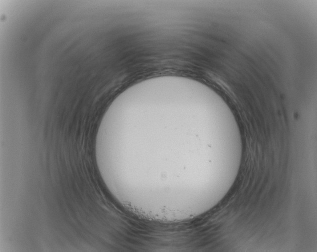 X0000064750077200602171744