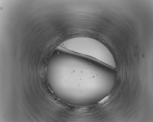 X0000064750078200602171744