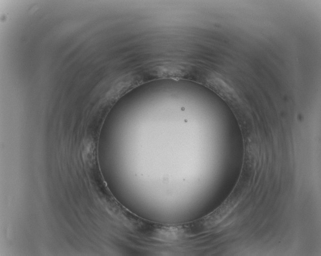 X0000064750079200602171744