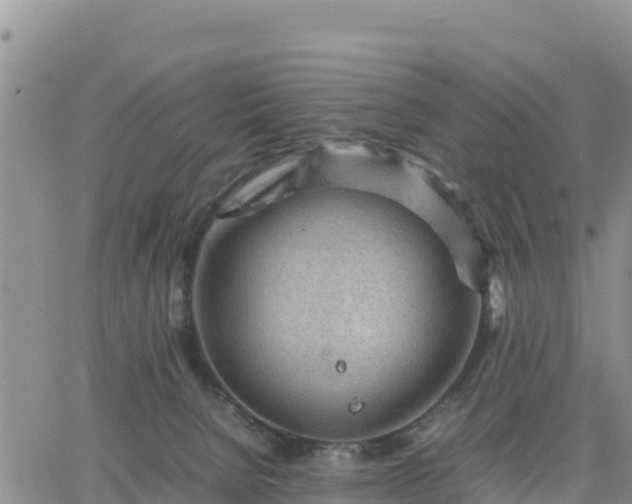 X0000064750080200602171744