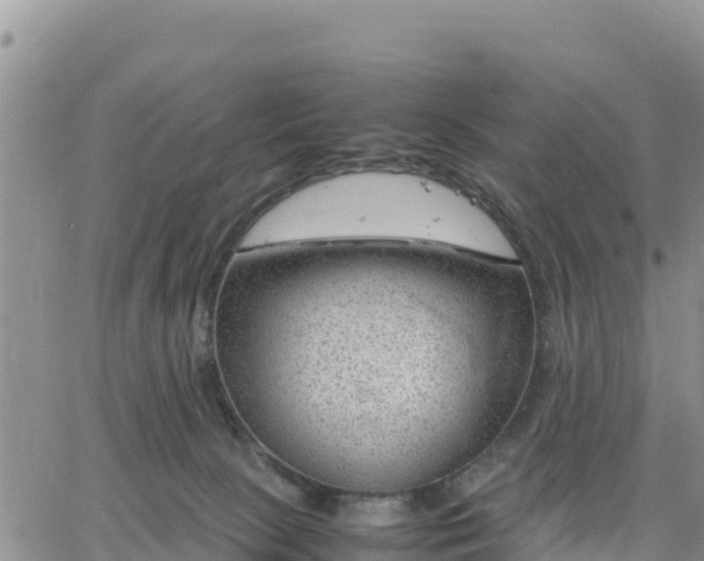 X0000064750081200602171744