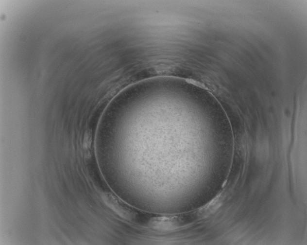 X0000064750082200602171744