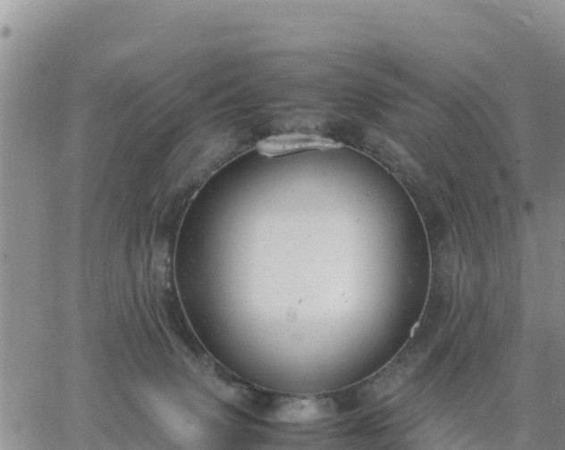 X0000064750083200602171744