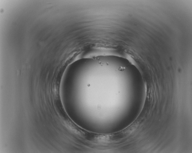 X0000064750084200602171744