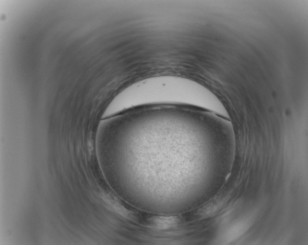 X0000064750085200602171744