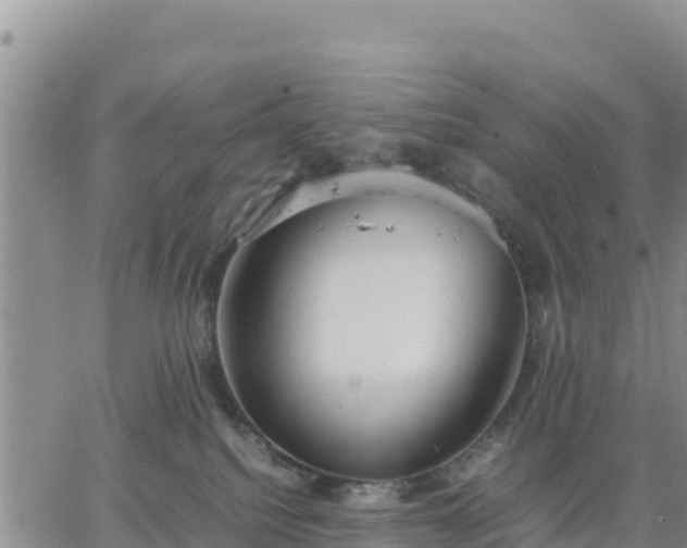 X0000064750088200602171744