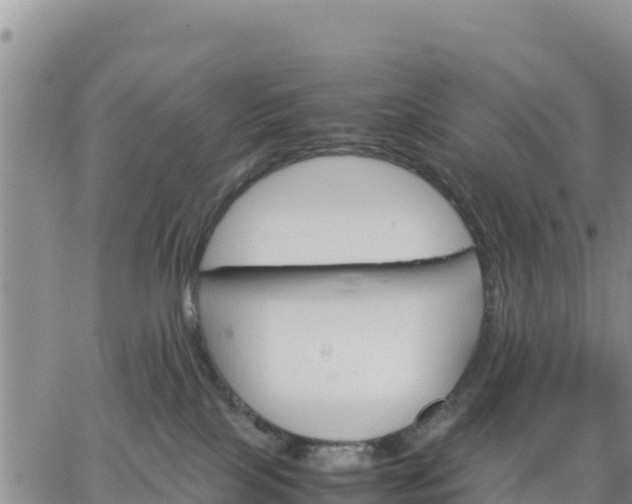 X0000064750089200602171744