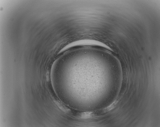 X0000064750090200602171744