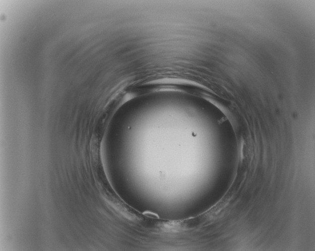 X0000064750092200602171744