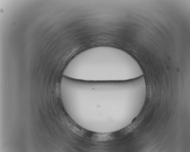 X0000064750093200602171744