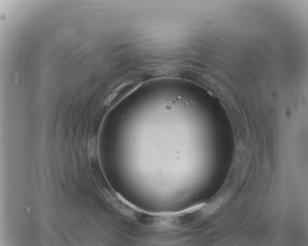 X0000064750096200602171744