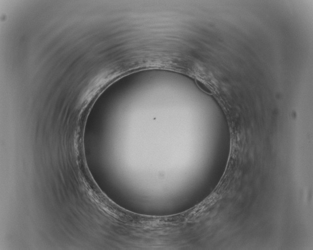 X0000064750098200602171743