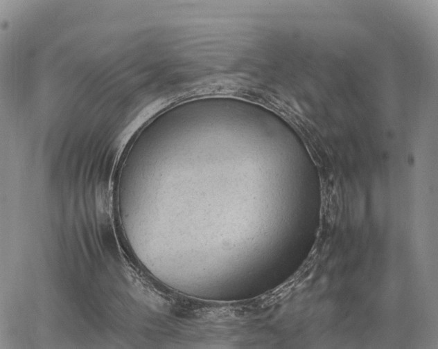 X0000064750100200602171743