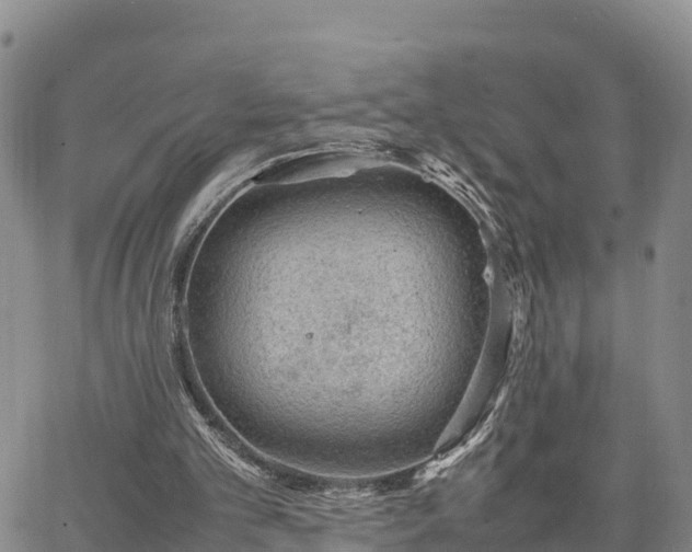 X0000064750101200602171743