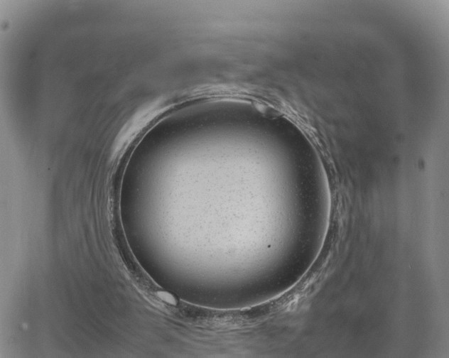 X0000064750103200602171743