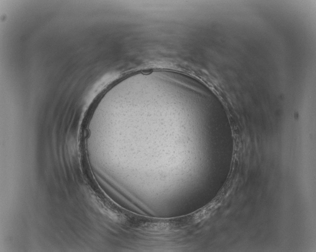 X0000064750104200602171743