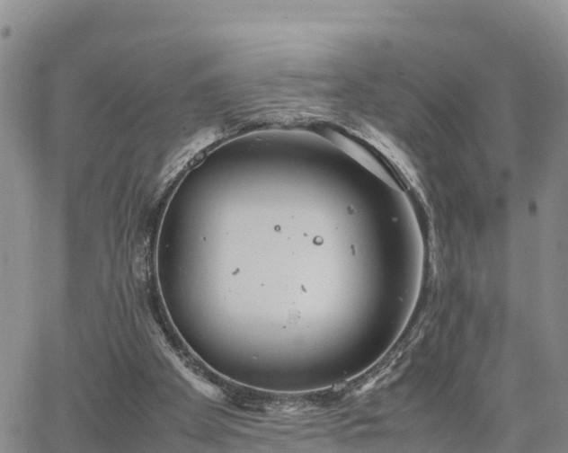 X0000064750105200602171743