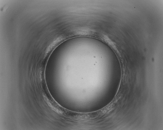 X0000064750106200602171743