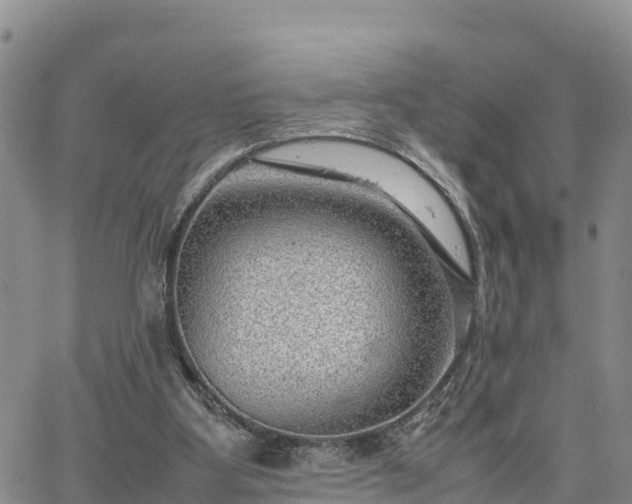 X0000064750107200602171743