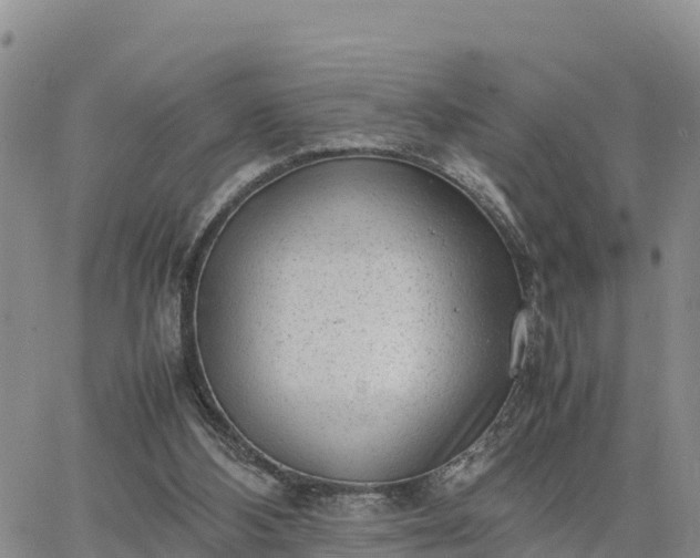 X0000064750108200602171743