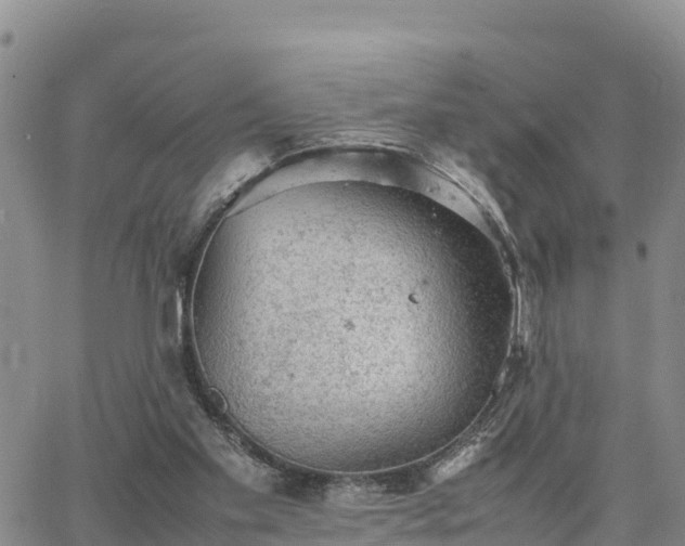 X0000064750109200602171743