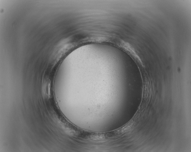 X0000064750110200602171743