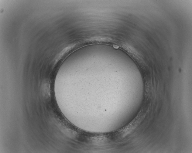 X0000064750112200602171743