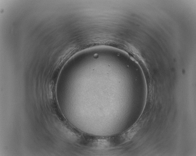 X0000064750114200602171743