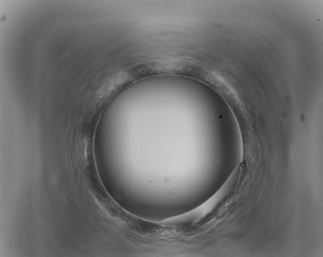 X0000064750115200602171743