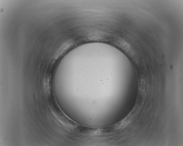 X0000064750116200602171743