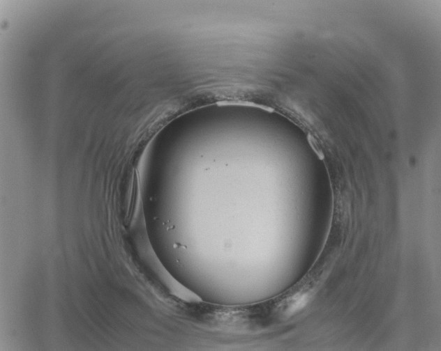 X0000064750117200602171743