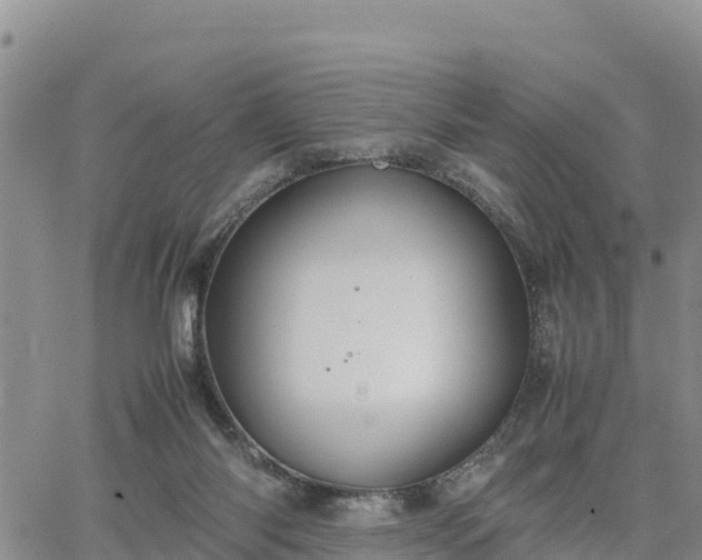 X0000064750118200602171743