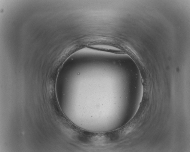 X0000064750119200602171743