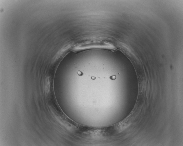 X0000064750120200602171743