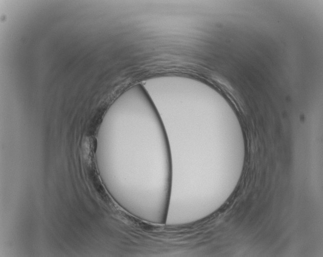 X0000064750121200602171743