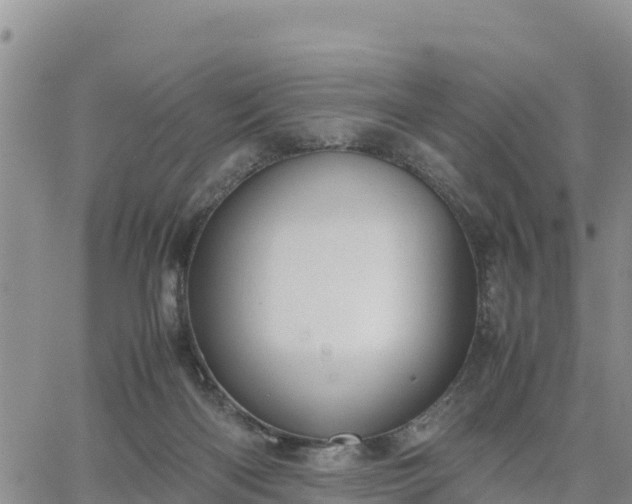 X0000064750122200602171743