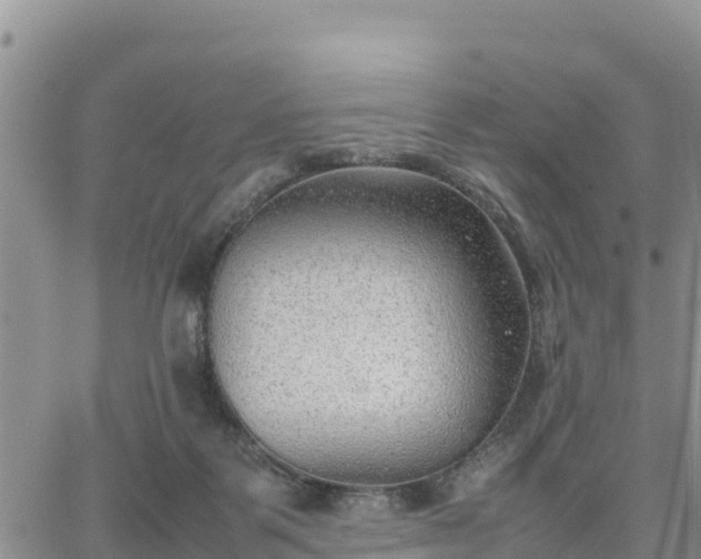 X0000064750123200602171743