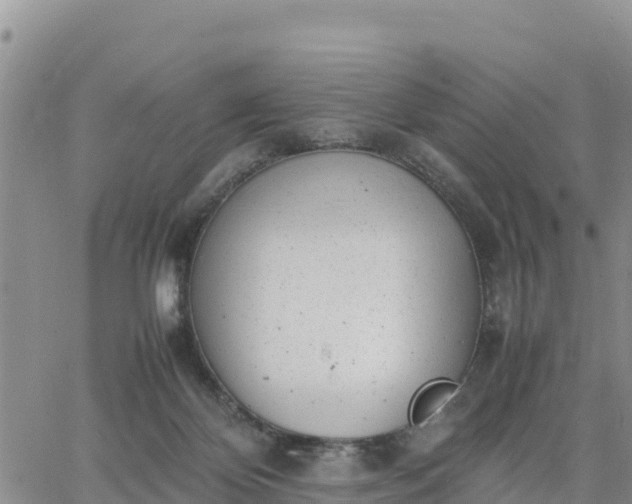 X0000064750124200602171743