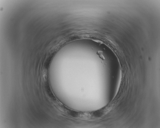 X0000064750125200602171743