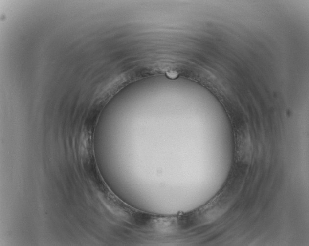 X0000064750126200602171743