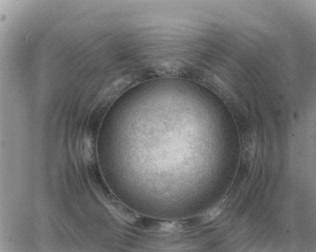 X0000064750130200602171743