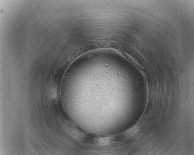 X0000064750134200602171743