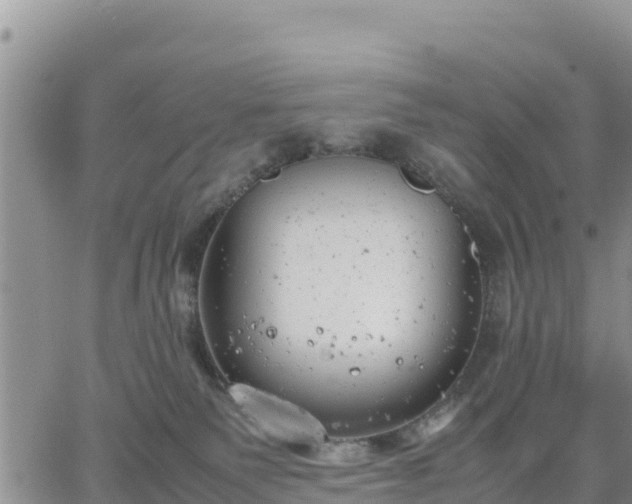 X0000064750135200602171743