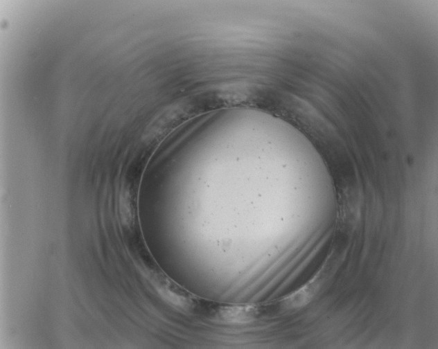 X0000064750136200602171743