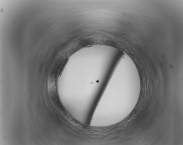 X0000064750137200602171743