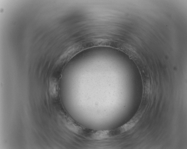 X0000064750138200602171743