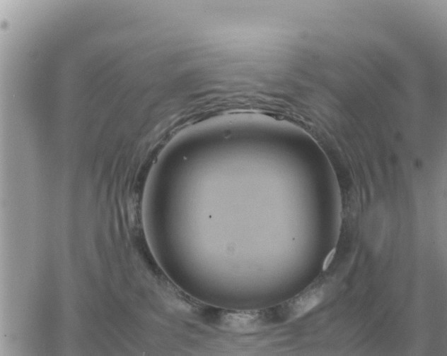 X0000064750139200602171743